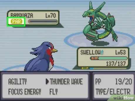 Catching Rayquaza in Pokémon Emerald